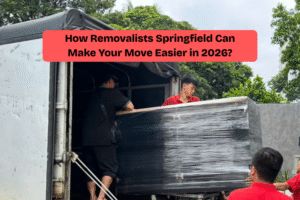 Removalist Springfield