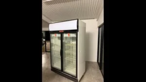 FRIDGE REMOVALIST