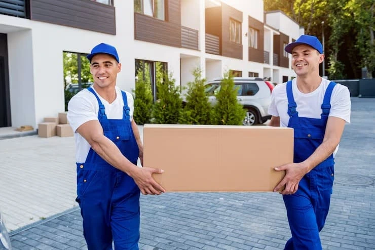 Best Advancetown Removalists