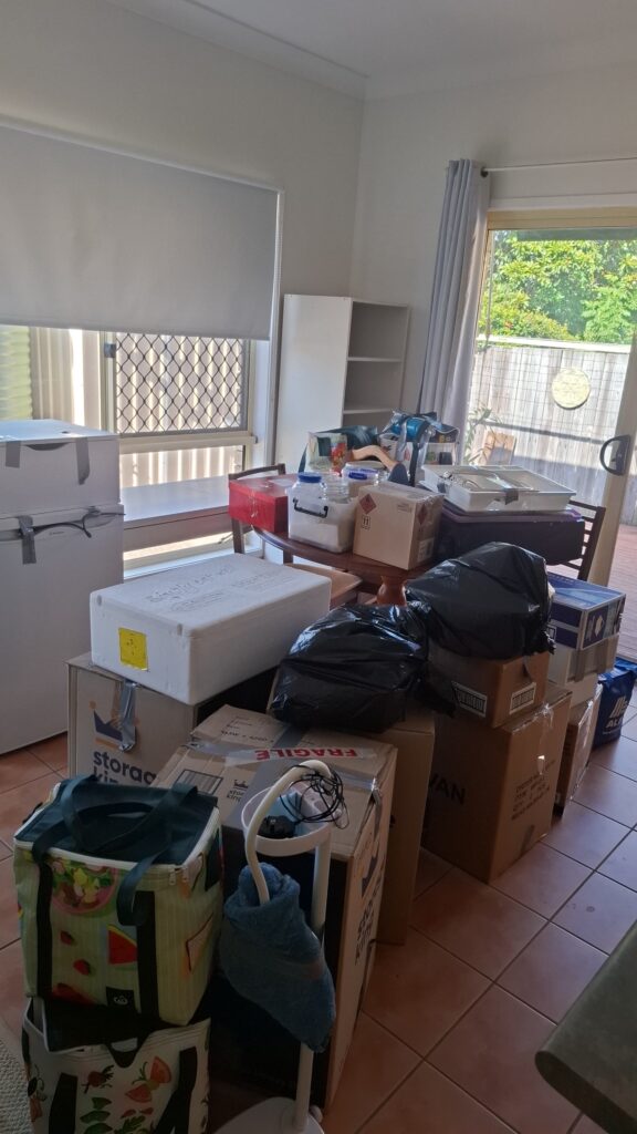 Removalist Augustine Heights